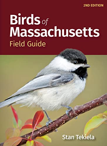 Birds of Massachusetts Field Guide (Bird Identification Guides) von Adventure Publications