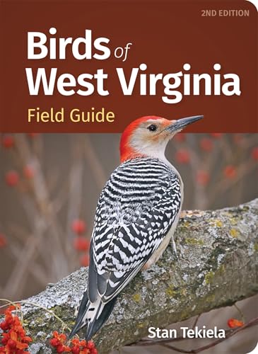 Birds of West Virginia Field Guide (Bird Identification Guides) von Adventure Publications