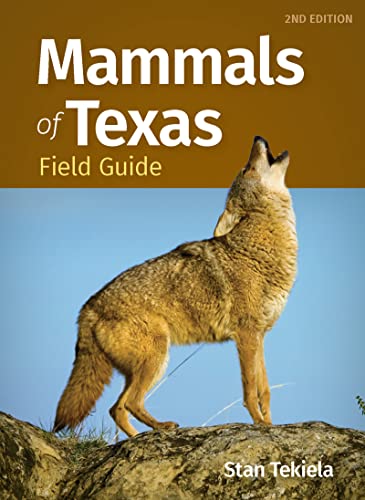 Mammals of Texas Field Guide (Mammal Identification Guides) von Adventure Publications