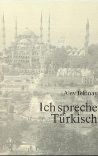 Ich spreche Türkisch: Ein Sprachführer mit vielen Gesprächssituationen des Alltags, Kurzgrammatik und Aufbauwortschatz