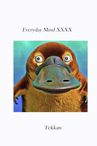 Everyday Mind XXXX