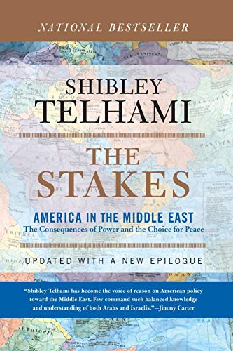 The Stakes: America In The Middle East von Basic Books