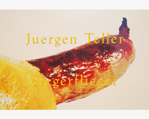 Siegerflieger von Steidl