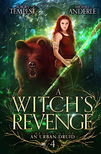 A Witch’s Revenge (Chronicles of an Urban Druid, Band 4)