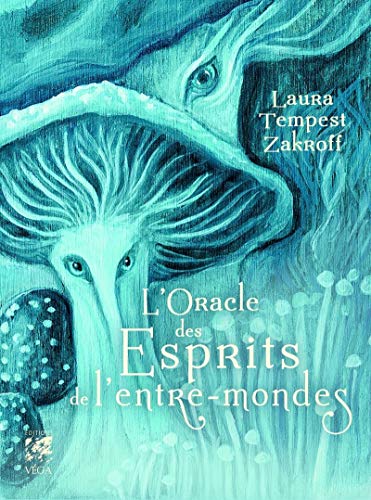 Coffret l'Oracle des esprits de l'entre-mondes