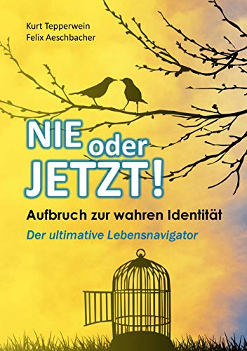 Nie oder Jetzt! Aufbruch zur wahren Identität: Der ultimative Lebensnavigator Nie oder Jetzt! Aufbruch zur wahren Identität: Der ultimative Lebensnavigator