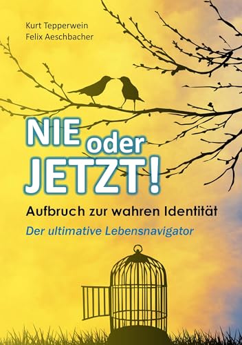Nie oder Jetzt! Aufbruch zur wahren Identität: Der ultimative Lebensnavigator
