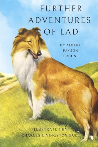 Further Adventures of Lad von Anson Street Press