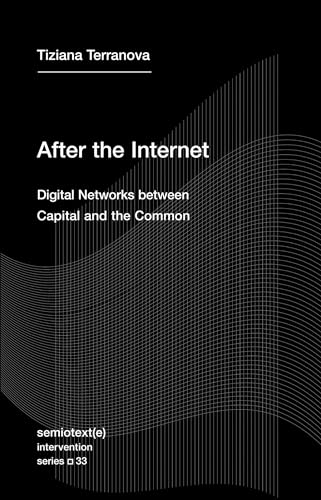 After the Internet: Digital Networks between Capital and the Common (Semiotext(e) / Intervention Series, Band 33) von The MIT Press