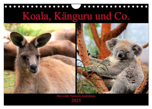 Koala, Känguru und Co. – Das wilde Tierreich Australiens (Wandkalender 2025 DIN A4 quer), CALVENDO Monatskalender von CALVENDO
