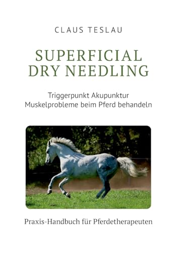 Superficial Dry Needling: Triggerpunkt Akupunktur und Myofasziale Tiefenmassage, Stresspunktmassage, Therapeutische Synergie