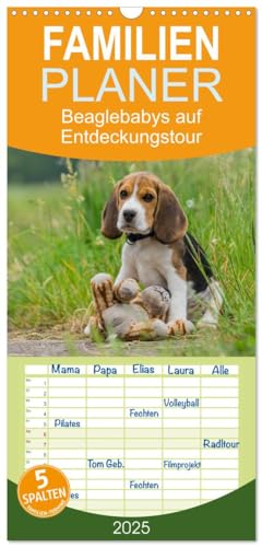 Familienplaner 2025 - Beaglebabys auf Entdeckungstour mit 5 Spalten (Wandkalender, 21 cm x 45 cm), CALVENDO von CALVENDO