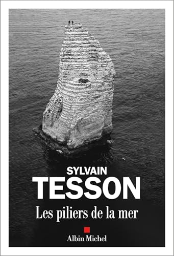 Les Piliers de la mer: Roman Les Piliers de la mer: Roman von Albin Michel