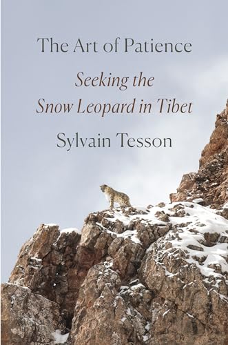 The Art of Patience: Seeking the Snow Leopard in Tibet The Art of Patience: Seeking the Snow Leopard in Tibet