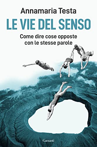 VIE DEL SENSO von SAGGI