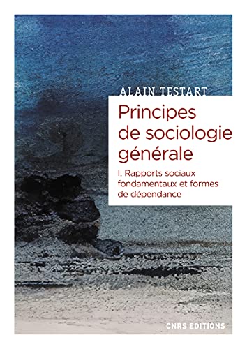 Principes de sociologie générale - volume 01 Rapports sociaux fondamentaux et formes de dépendance (01): Tome 1, Rapports sociaux fondamentaux et formes de dépendance