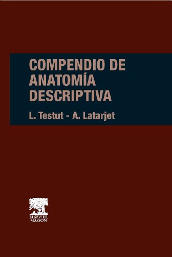 Compendio de anatomía descriptiva von Elsevier