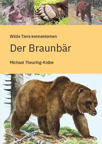 Der Braunbär von Kessel, Norbert
