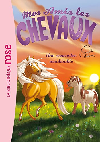 Mes amis les chevaux 06 - Une rencontre inoubliable von Hachette