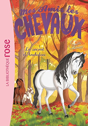 Mes amis les chevaux 19 - Le secret d'Andalou von Hachette