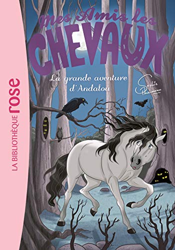Mes amis les chevaux 21 - La grande aventure d'Andalou Mes amis les chevaux 21 - La grande aventure d'Andalou