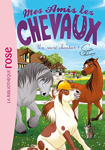 Mes amis les chevaux 31 - Un sacré chantier ! Mes amis les chevaux 31 - Un sacré chantier ! von HACHETTE JEUN.