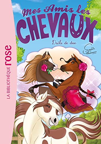 Mes amis les chevaux 38 - Drôle de duo von HACHETTE JEUN.