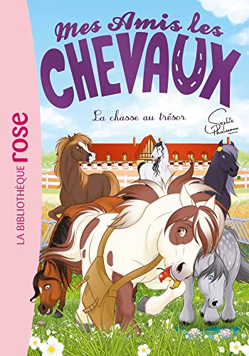 Mes amis les chevaux 39 - La chasse au trésor von HACHETTE JEUN.