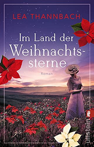 Im Land der Weihnachtssterne: Roman (Die Weihnachtsstern-Saga, Band 1)