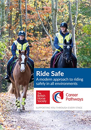 Ride Safe: A Modern Approach to Riding Safely in All Environments von AYFEE