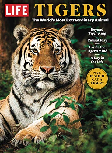 LIFE Tigers: The World's Most Extraordinary Animal LIFE Tigers: The World's Most Extraordinary Animal
