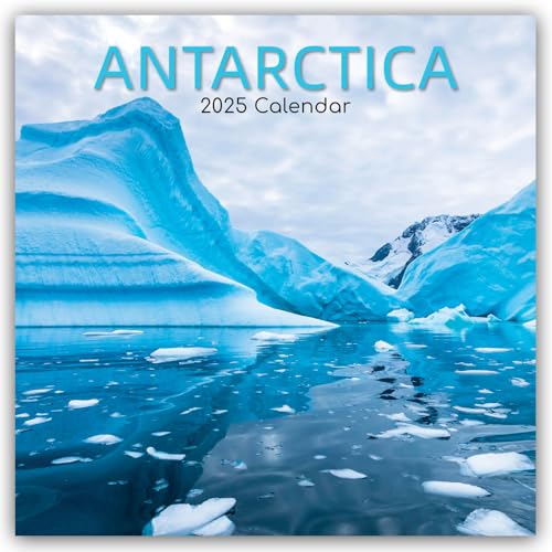 Antarctica – Antarktis 2025 – 16-Monatskalender: Original The Gifted Stationery Co. Ltd [Mehrsprachig] [Kalender] (Wall-Kalender)