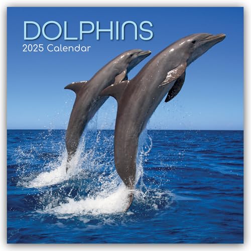 Dolphins – Delfine – Delphine 2025 – 16-Monatskalender: Original The Gifted Stationery Co. Ltd [Mehrsprachig] [Kalender] (Wall-Kalender) von Brown Trout-Auslieferer Flechsig