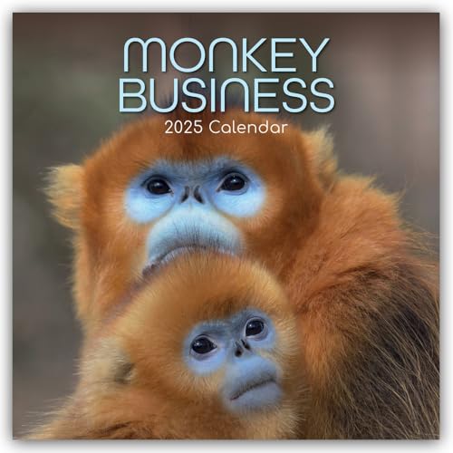 Monkey Business 2025 – 16-Monatskalender: Original The Gifted Stationery Co. Ltd [Mehrsprachig] [Kalender] (Wall-Kalender)