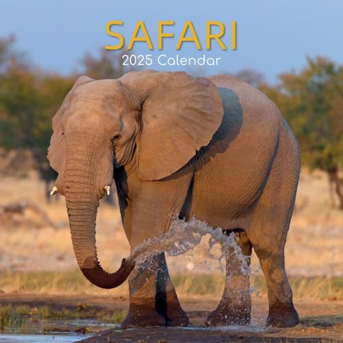 Safari 2025 – 16-Monatskalender: Original The Gifted Stationery Co. Ltd [Mehrsprachig] [Kalender] (Wall-Kalender)
