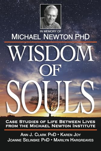 Wisdom of Souls: Case Studies of Life Between Lives from the Michael Newton Institute von Llewellyn Publications