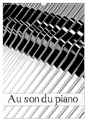 Au son du piano (Calendrier mural 2025 DIN A3 horizontal), CALVENDO calendrier mensuel: Manufacture de pianos