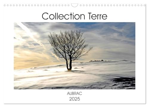Collection Terre AUBRAC (Calendrier mural 2025 DIN A3 vertical), CALVENDO calendrier mensuel: Le territoire de l'Aubrac