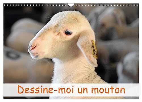 Dessine-moi un mouton (Calendrier mural 2025 DIN A3 vertical), CALVENDO calendrier mensuel: L'univers des moutons en Occitanie