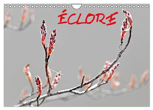 ÉCLORE (Calendrier mural 2025 DIN A4 vertical), CALVENDO calendrier mensuel: La nature sauvage en éclosion