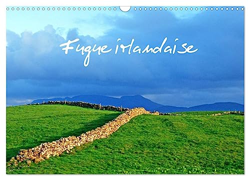 Fugue irlandaise (Calendrier mural 2025 DIN A3 vertical), CALVENDO calendrier mensuel: Balade photographique en Irlande