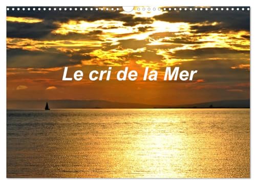 Le cri de la Mer (Calendrier mural 2025 DIN A3 vertical), CALVENDO calendrier mensuel: Paysages de mer et d'océan en France et à l'étranger von Calvendo