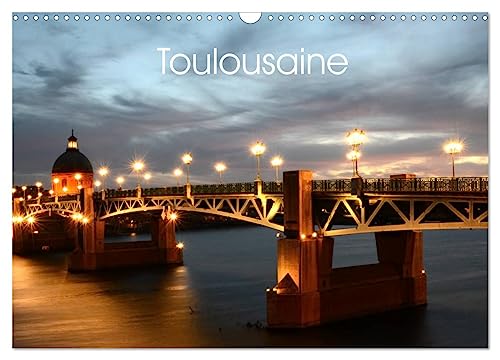 Toulousaine (Calendrier mural 2025 DIN A3 vertical), CALVENDO calendrier mensuel: La ville de Toulouse et son patrimoine