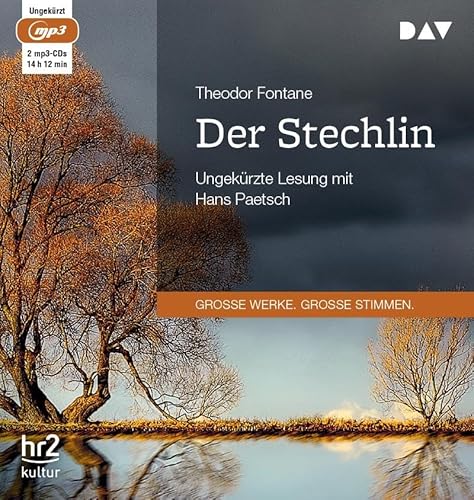 Der Stechlin: Ungekürzte Lesung mit Hans Paetsch (2 mp3-CDs)