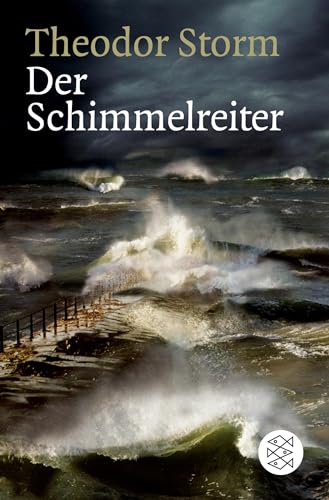 Der Schimmelreiter: Novelle von FISCHERVERLAGE