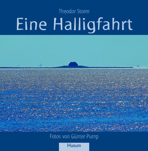 Eine Halligfahrt: Novelle