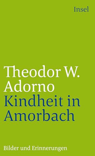 Kindheit in Amorbach: Bilder und Erinnerungen (insel taschenbuch)