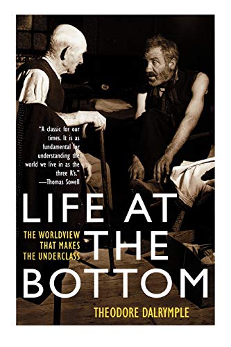Life at the Bottom: The Worldview That Makes the Underclass von Ivan R. Dee Publisher