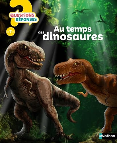 Au temps des dinosaures von NATHAN