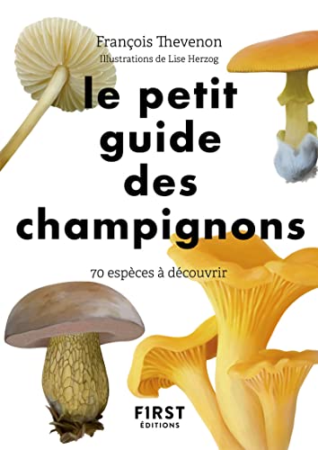 Le Petit Guide des champignons - 70 espèces à découvrir von FIRST